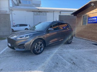 FORD Kuga 1.5 ecoblue ST-Line 2wd 120cv